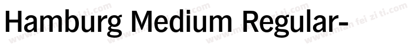 Hamburg Medium Regular字体转换